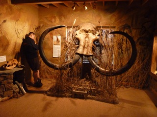 Starting our day at the Prehistoric Museum.