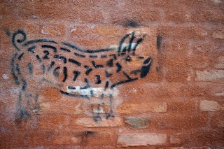 Pig graffiti.