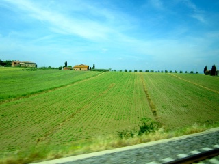 Tuscan country side