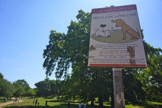 An Italian dog park, made Theresa smile wide