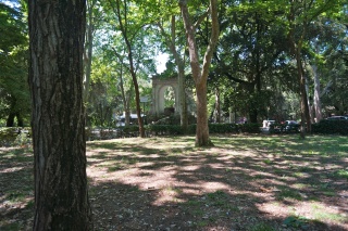 The view from our Borghese Garden picnic