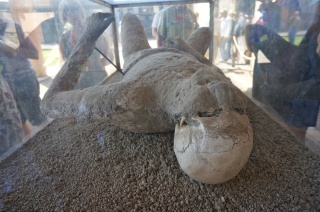 Disaster tourism. A plaster cast of a man preserved in lava during the escape