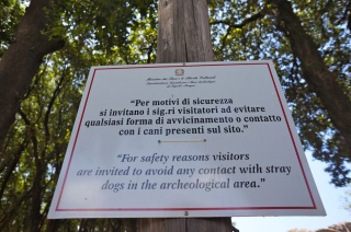 ...visitors are invited to...