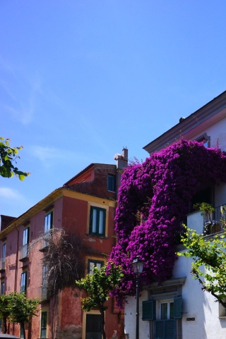 In Sorrento, lots of purple