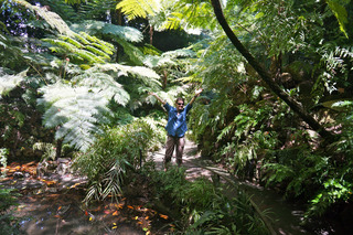 Theresa loves the ferns