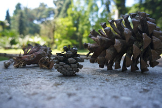 The cones seemed purposeful