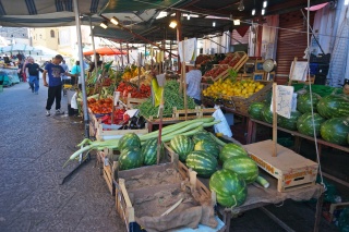 Vegetables, some as tall as us
