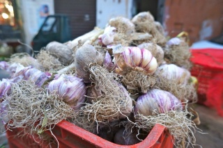 ...and lots of garlic