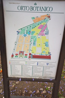 The Botanical Gardens of Palermo. Everything grows huge here