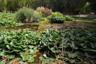 The 'aquarium'