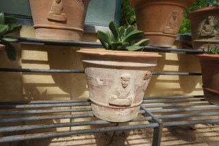 Blocky succulents and Orto branded pottery