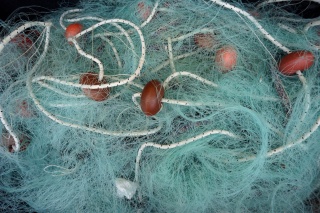 Fisherman's net