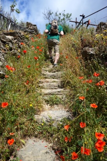 The trail, becoming less obvious