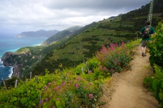 Ridiculous. Hiking through vineyards on the Italian Mediterranean coast