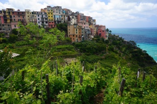 Corniglia