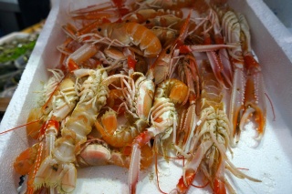 Big thinks scampi