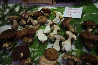 Mushrooms
