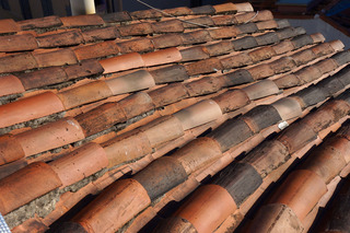European shingles