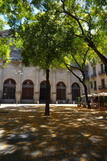 We saw these orange petal dropping trees in Palermo. We like them