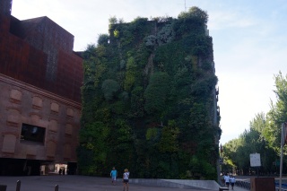 A hanging English Garden across from the Prado
