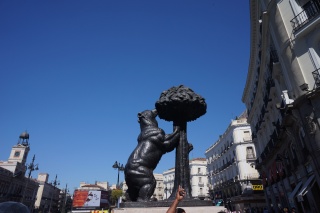 Bear and the Madrono Tree, iconic symbol of Madrid