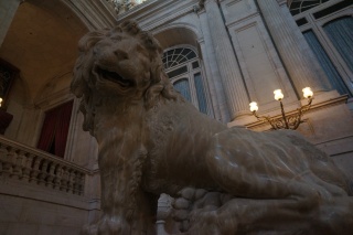 The first and last shot she got in the palace before learning policy. Awesome lion