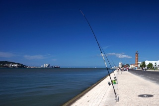Fishing off the banks of the bay