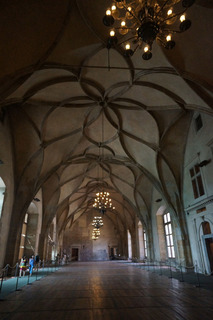 In the Old Castle, the grand room. Great arch ribbing
