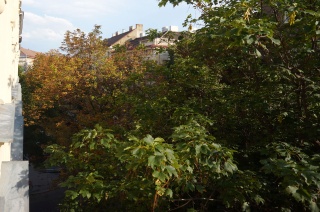 The view from our window