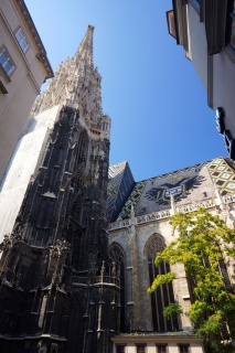 St. Stephen's Cathedral and the South Tower. We're going up there
