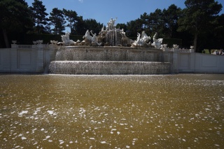 In the backyard, a simple fountain