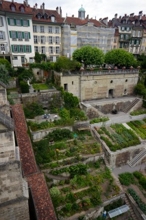An impressive hillside garden