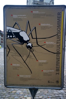 The events of Bern's summer, brought to you by a mosquito?