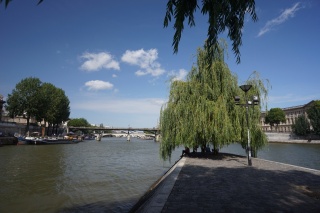 Our view from a picnic lunch, at the tip of the Ile de la Cite