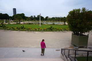 Plan B, a morning walk in the Luxembourg Gardens