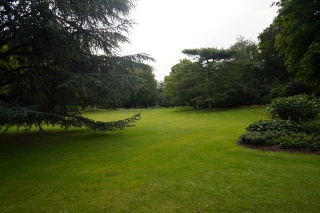 Beautiful grass, just don't walk on it