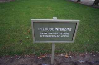 This keeps the grass very nice