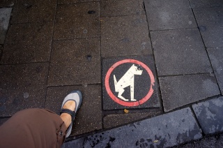 Naples could use a few of these