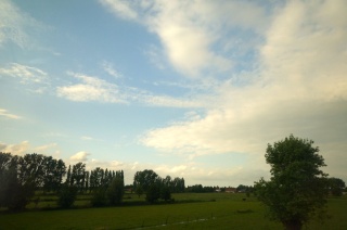 A little Belgian countryside on the train ride back to Brussels