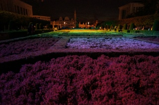 A garden that on a normal day we would have got more information on