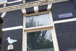Gull