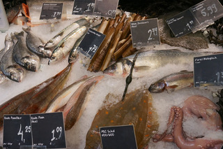Picking up a little seafood at our new market, Marqt.