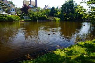 From our afternoon in Voldenpark