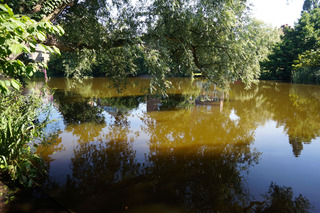 The water is a little brown in Amsterdam