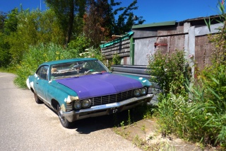 You don't see a lot of these over here in any condition