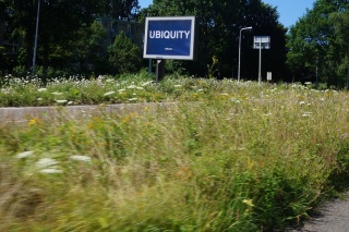 It's everywhere