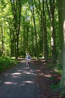 Biking through forests...