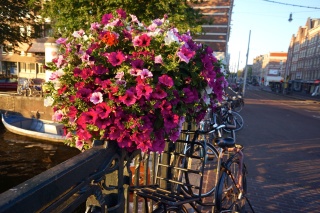 A beautiful end to a lovely day
