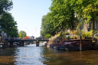 A house garden boat
