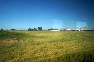 Looks like a lot of northern European train country we've seen